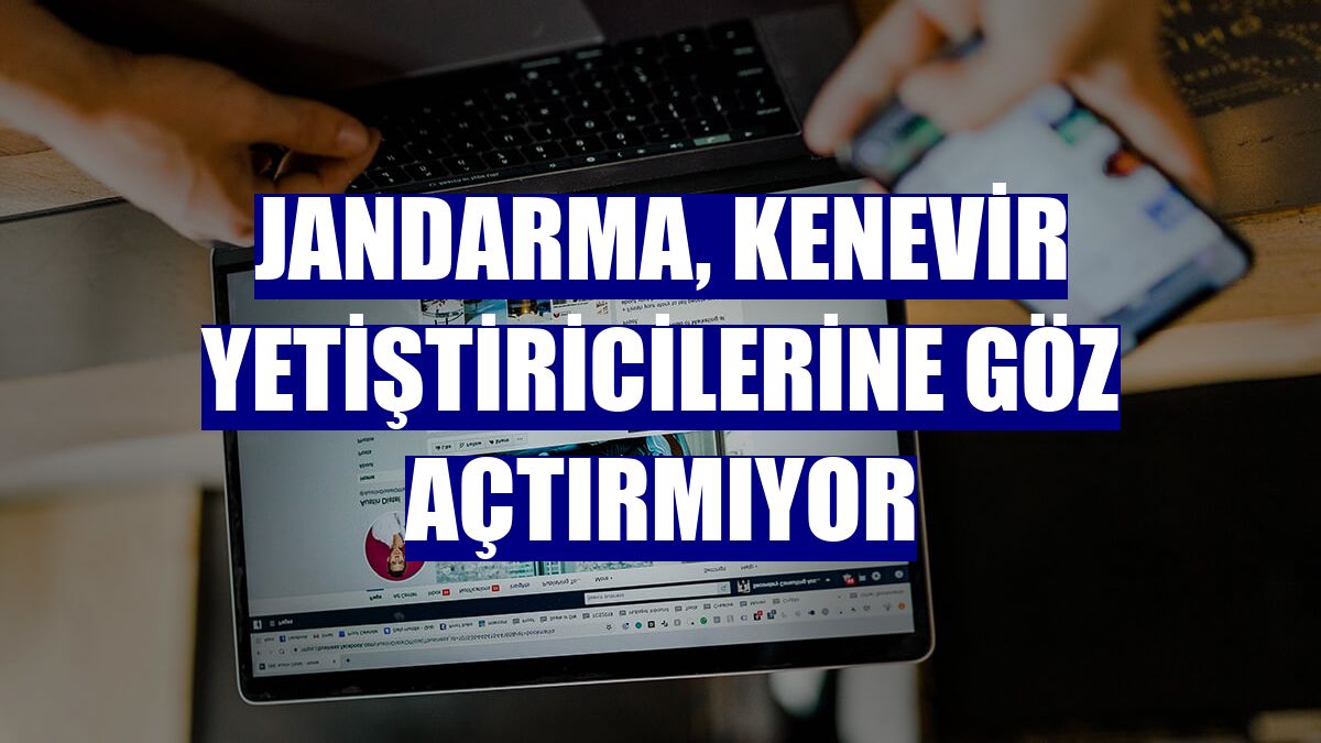 Jandarma, kenevir yetiştiricilerine göz açtırmıyor