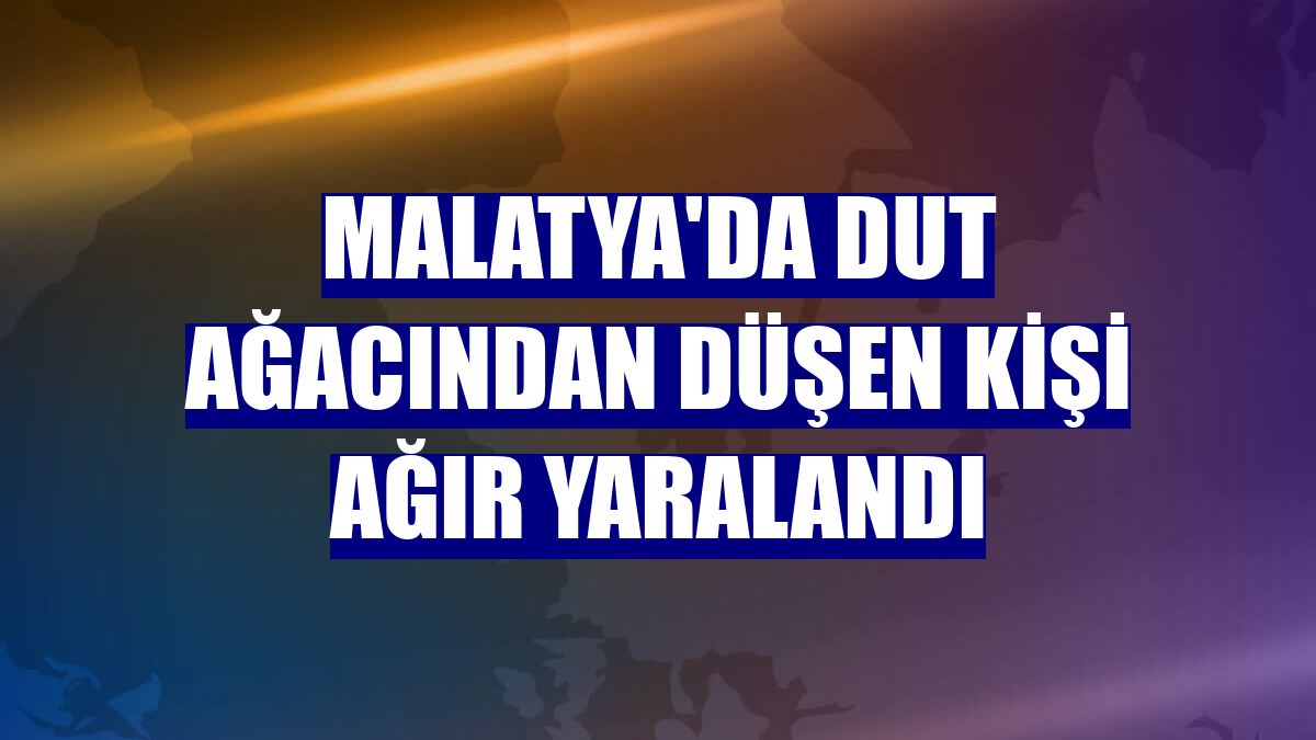 Malatya'da dut ağacından düşen kişi ağır yaralandı