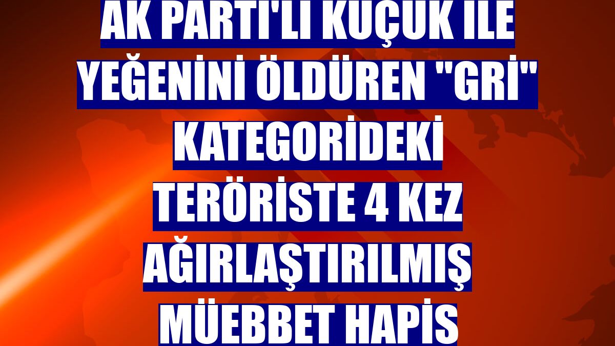 AK Parti'li Küçük ile yeğenini öldüren "gri" kategorideki teröriste 4 kez ağırlaştırılmış müebbet hapis