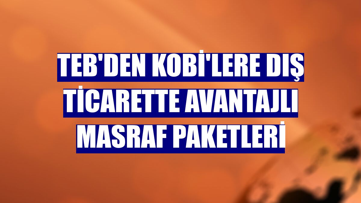 TEB'den KOBİ'lere dış ticarette avantajlı masraf paketleri