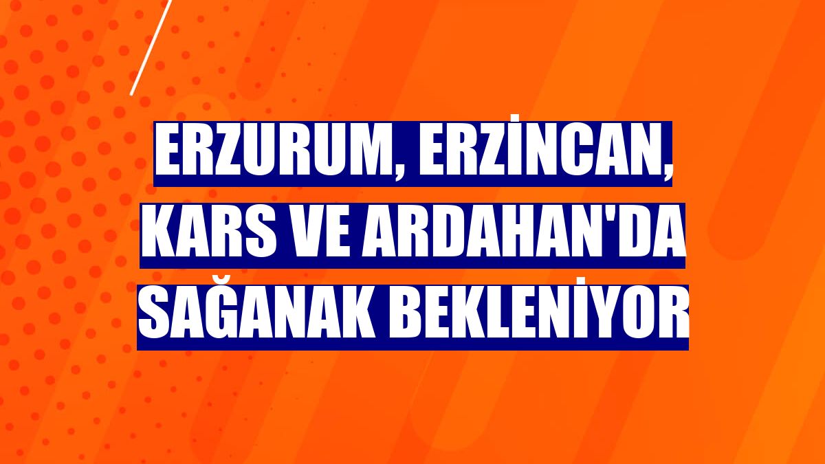 Erzurum, Erzincan, Kars ve Ardahan'da sağanak bekleniyor