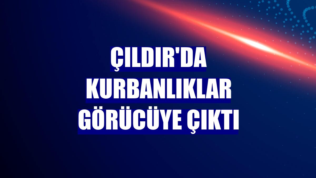 Çıldır'da kurbanlıklar görücüye çıktı