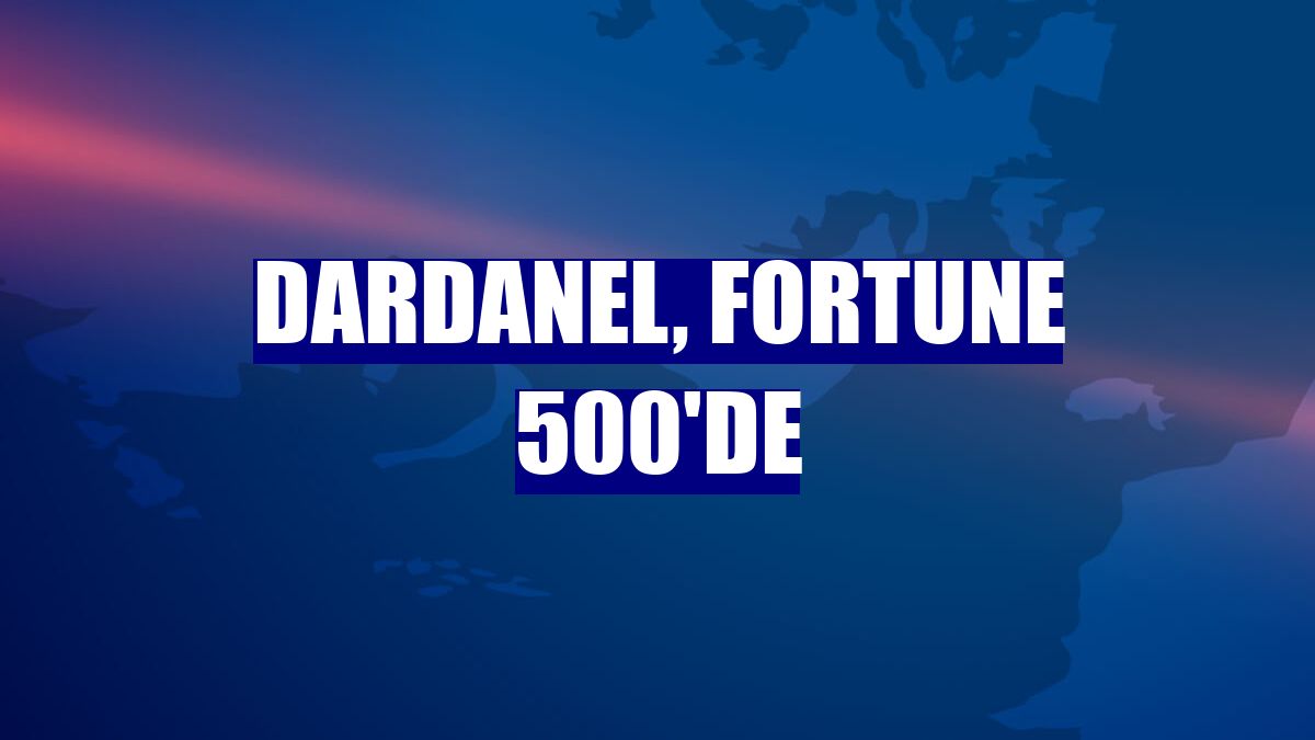Dardanel, Fortune 500'de