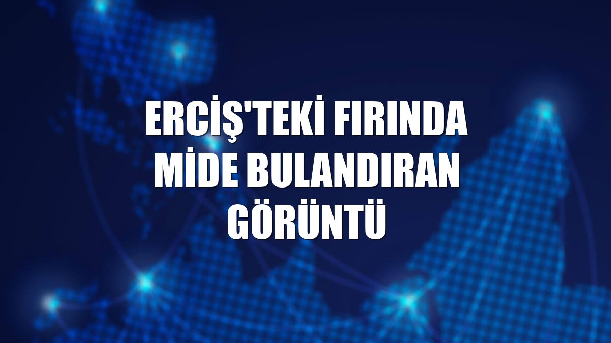Erciş'teki fırında mide bulandıran görüntü