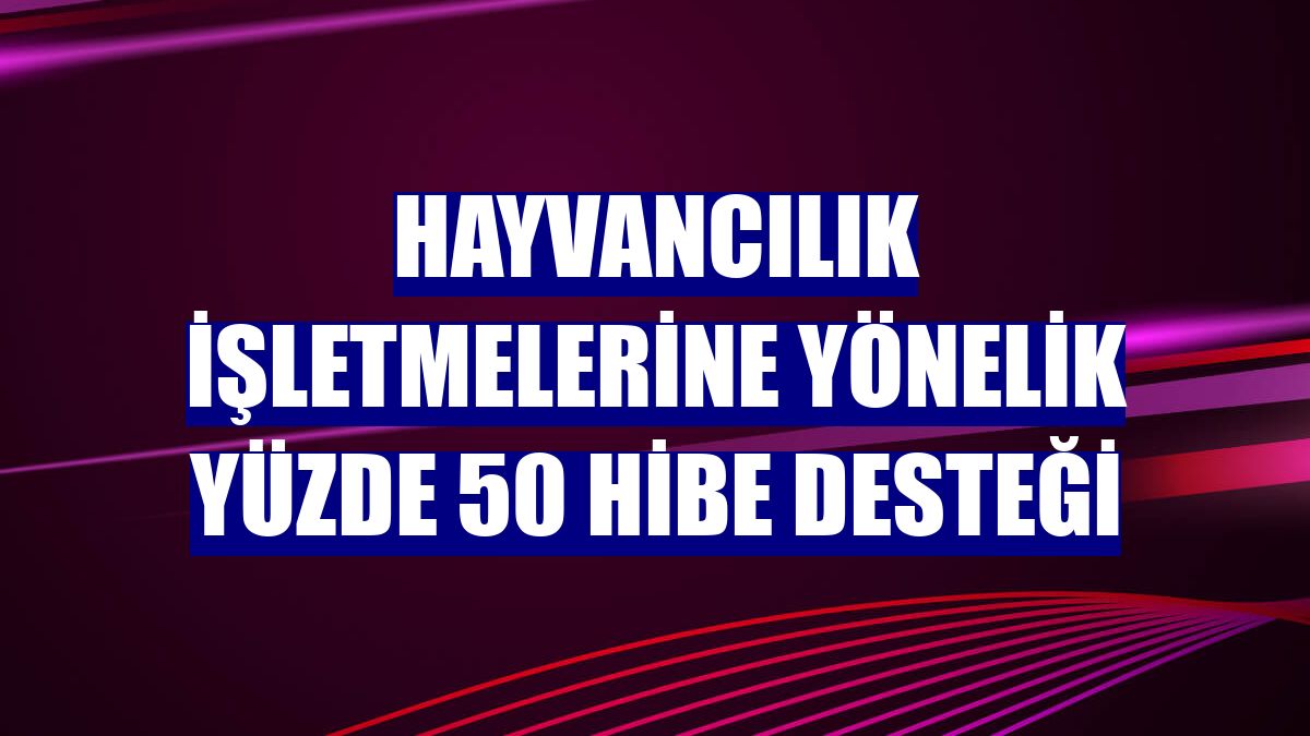 Hayvancılık işletmelerine yönelik yüzde 50 hibe desteği