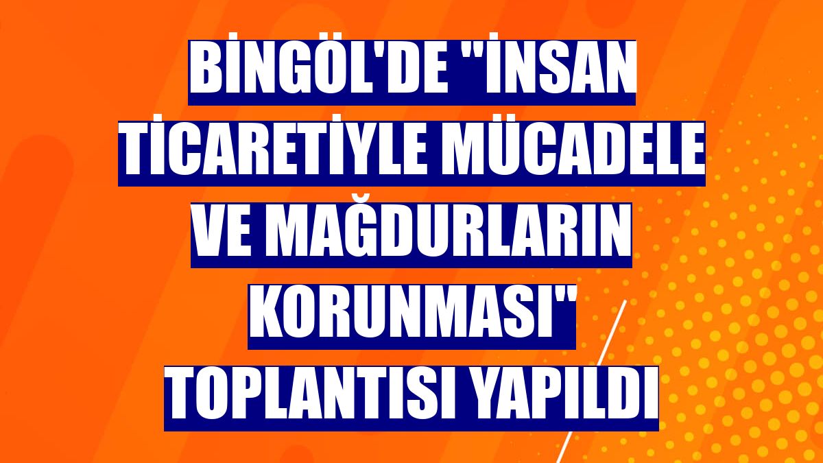 Bingöl'de "İnsan ticaretiyle mücadele ve mağdurların korunması" toplantısı yapıldı