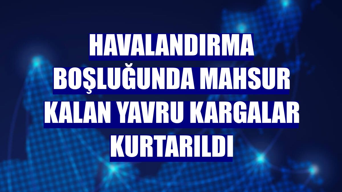 Havalandırma boşluğunda mahsur kalan yavru kargalar kurtarıldı