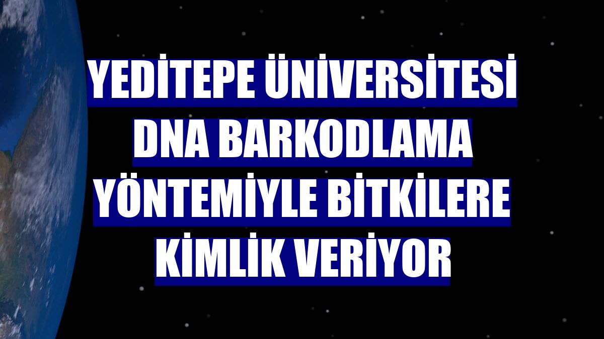 Yeditepe Üniversitesi DNA barkodlama yöntemiyle bitkilere kimlik veriyor