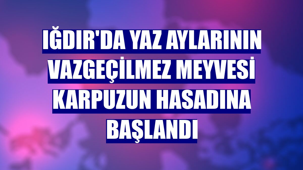 Iğdır'da yaz aylarının vazgeçilmez meyvesi karpuzun hasadına başlandı