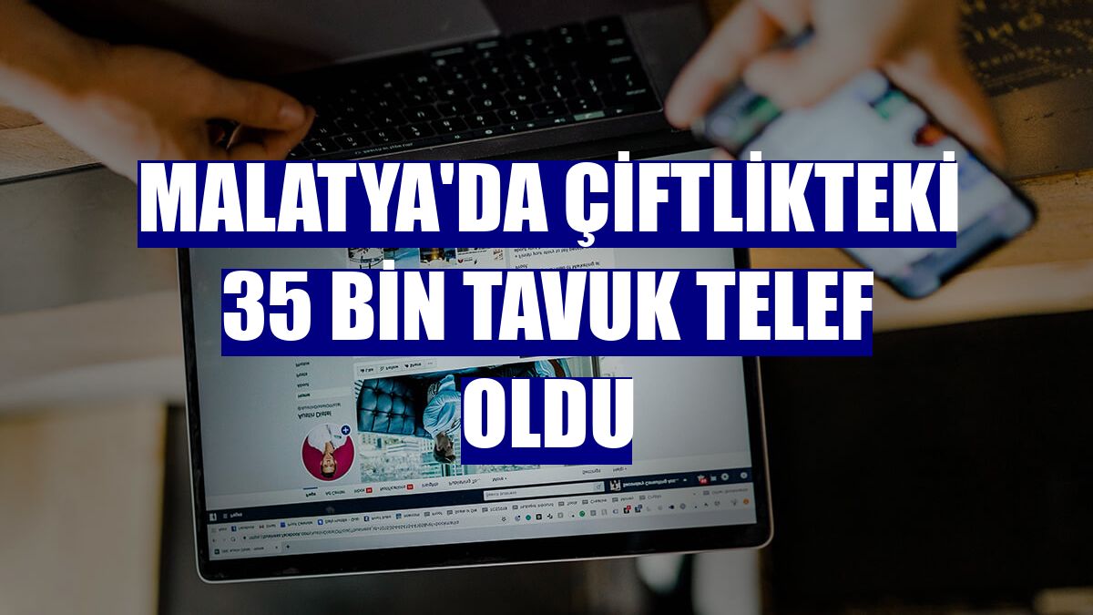Malatya'da çiftlikteki 35 bin tavuk telef oldu