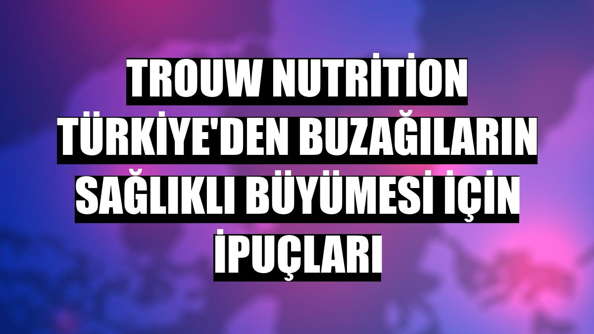 Trouw Nutrition Türkiye'den buzağıların sağlıklı büyümesi için ipuçları