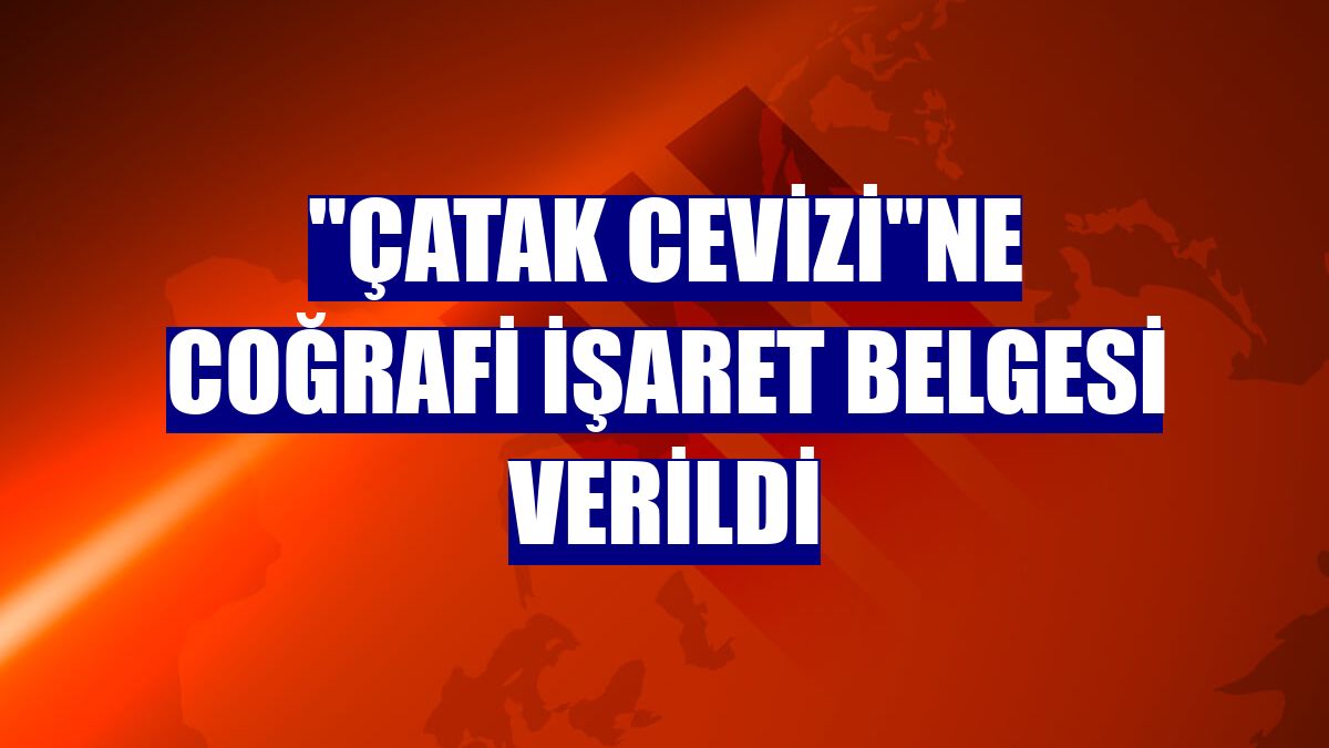 "Çatak cevizi"ne coğrafi işaret belgesi verildi