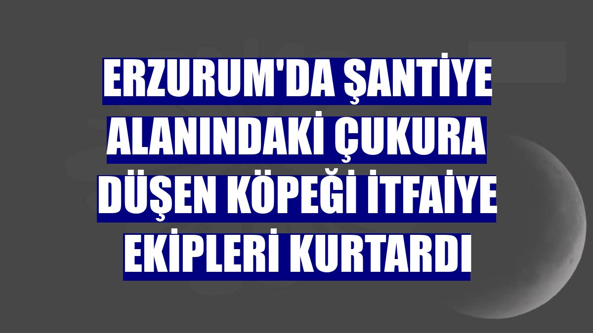 Erzurum'da şantiye alanındaki çukura düşen köpeği itfaiye ekipleri kurtardı