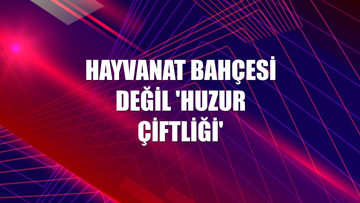Hayvanat bahçesi değil 'Huzur Çiftliği'