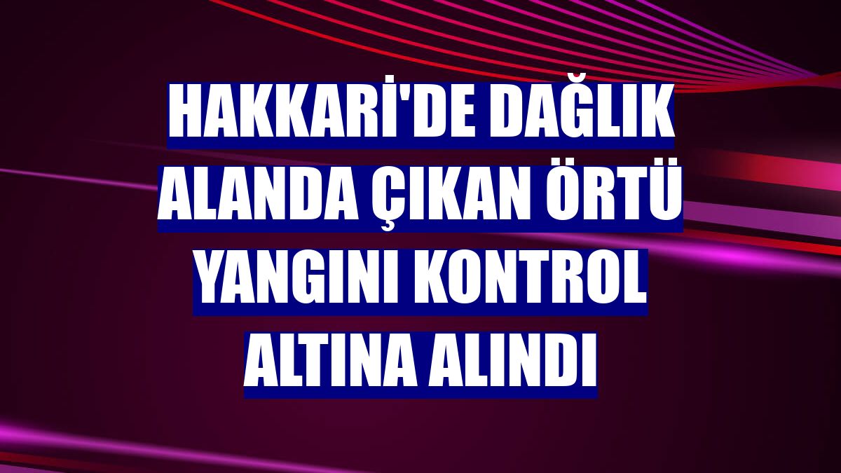Hakkari'de dağlık alanda çıkan örtü yangını kontrol altına alındı