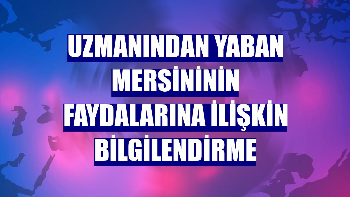 Uzmanından yaban mersininin faydalarına ilişkin bilgilendirme