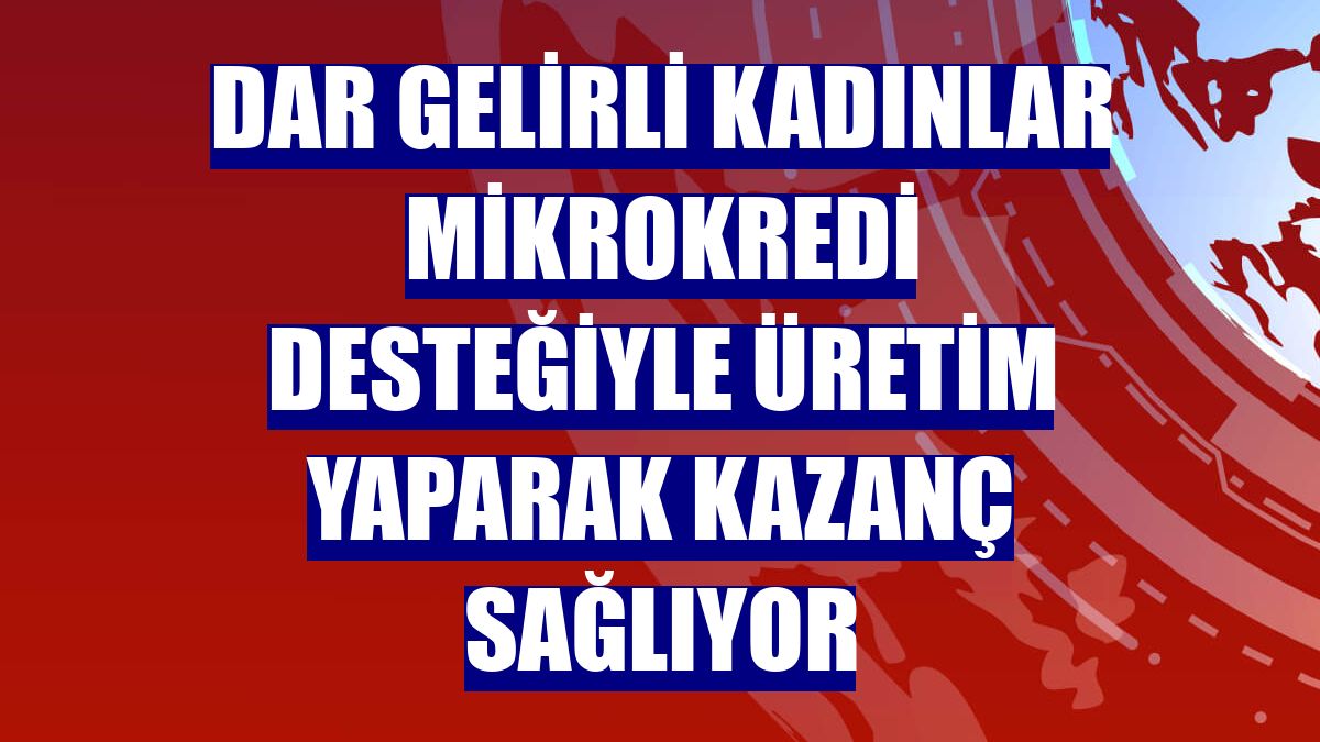 Dar gelirli kadınlar mikrokredi desteğiyle üretim yaparak kazanç sağlıyor