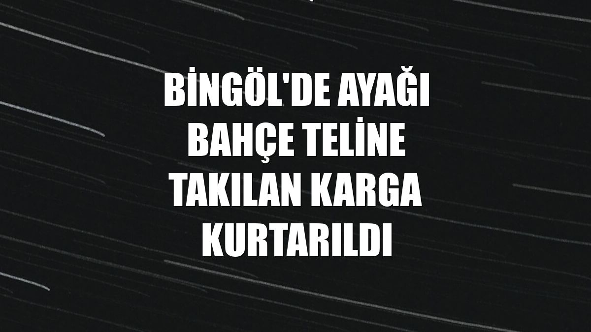 Bingöl'de ayağı bahçe teline takılan karga kurtarıldı