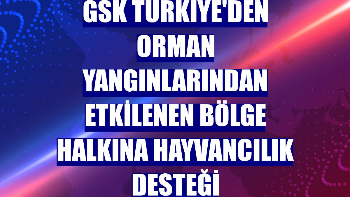 GSK Türkiye'den orman yangınlarından etkilenen bölge halkına hayvancılık desteği
