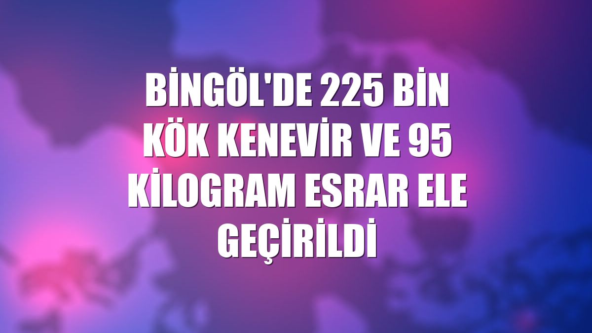 Bingöl'de 225 bin kök kenevir ve 95 kilogram esrar ele geçirildi