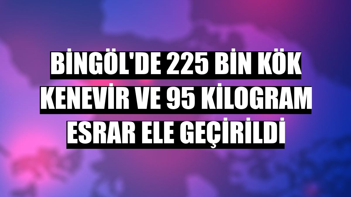 Bingöl'de 225 bin kök kenevir ve 95 kilogram esrar ele geçirildi