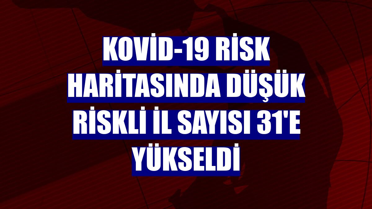 Kovid-19 risk haritasında düşük riskli il sayısı 31'e yükseldi