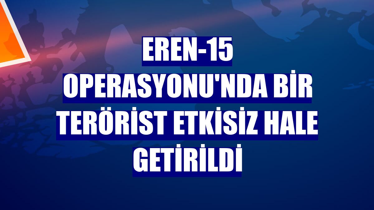 Eren-15 Operasyonu'nda bir terörist etkisiz hale getirildi