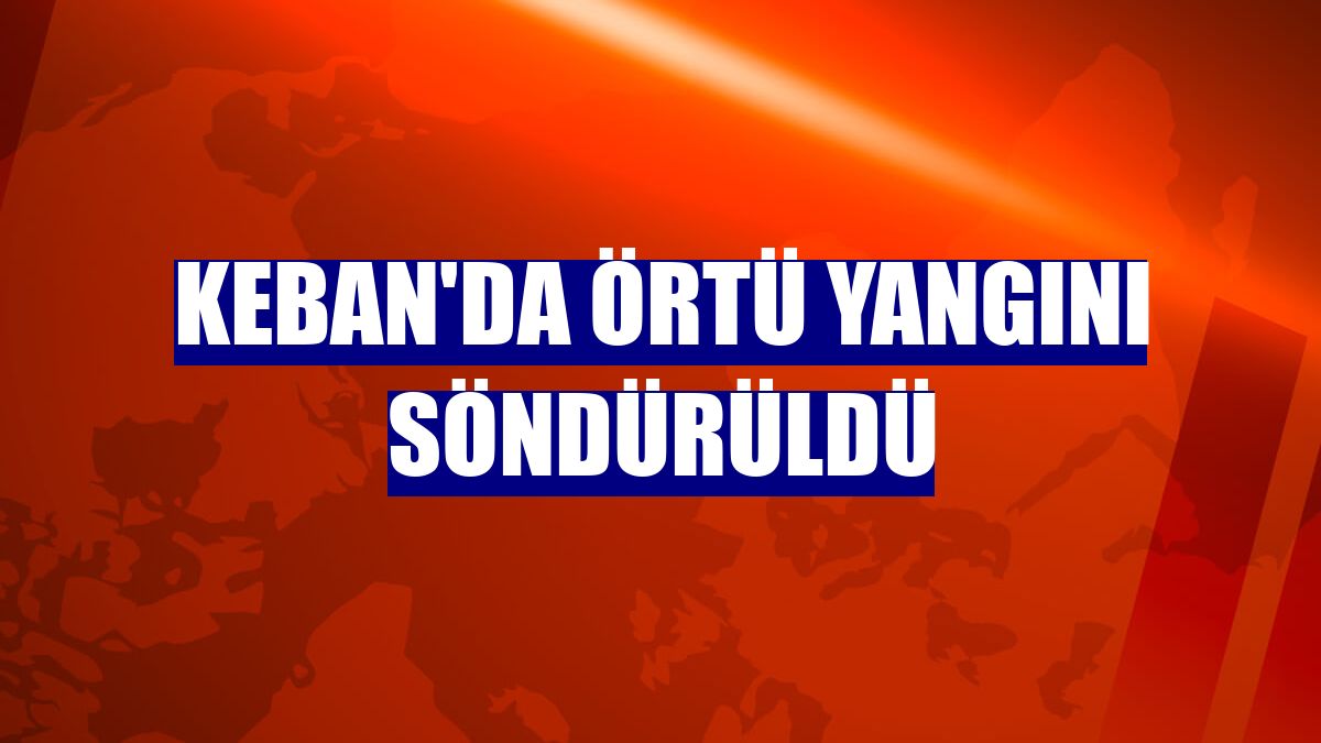 Keban'da örtü yangını söndürüldü