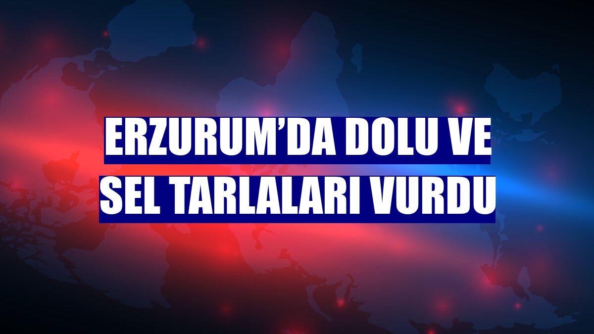 Erzurum’da dolu ve sel tarlaları vurdu