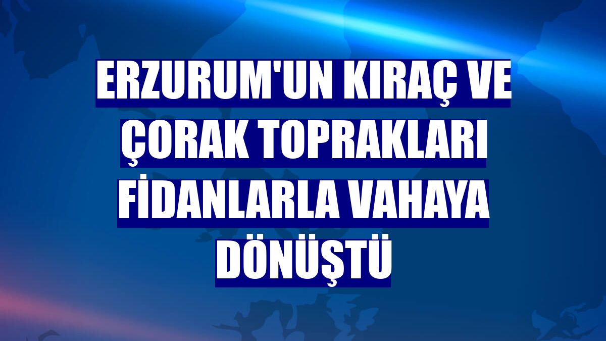 Erzurum'un kıraç ve çorak toprakları fidanlarla vahaya dönüştü