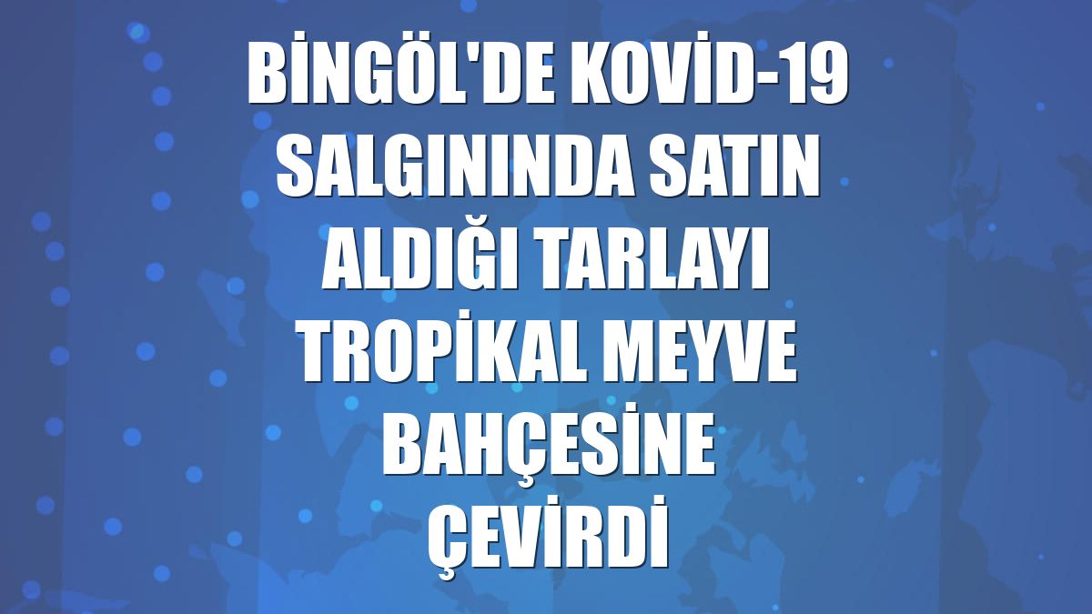 Bingöl'de Kovid-19 salgınında satın aldığı tarlayı tropikal meyve bahçesine çevirdi