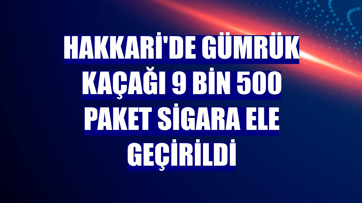 Hakkari'de gümrük kaçağı 9 bin 500 paket sigara ele geçirildi