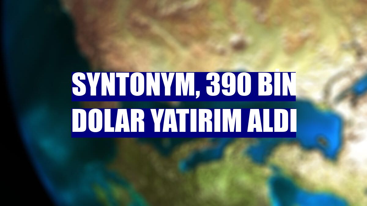 Syntonym, 390 bin dolar yatırım aldı