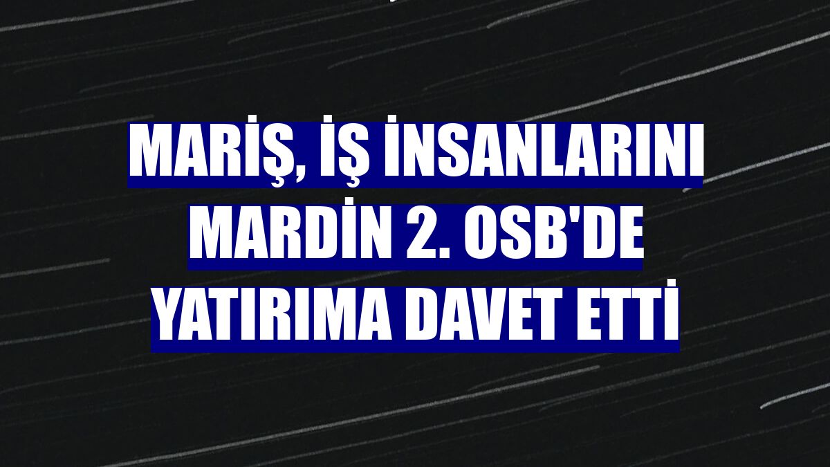 MARİŞ, iş insanlarını Mardin 2. OSB'de yatırıma davet etti