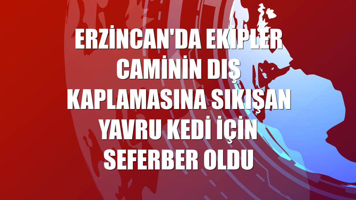 Erzincan'da ekipler caminin dış kaplamasına sıkışan yavru kedi için seferber oldu