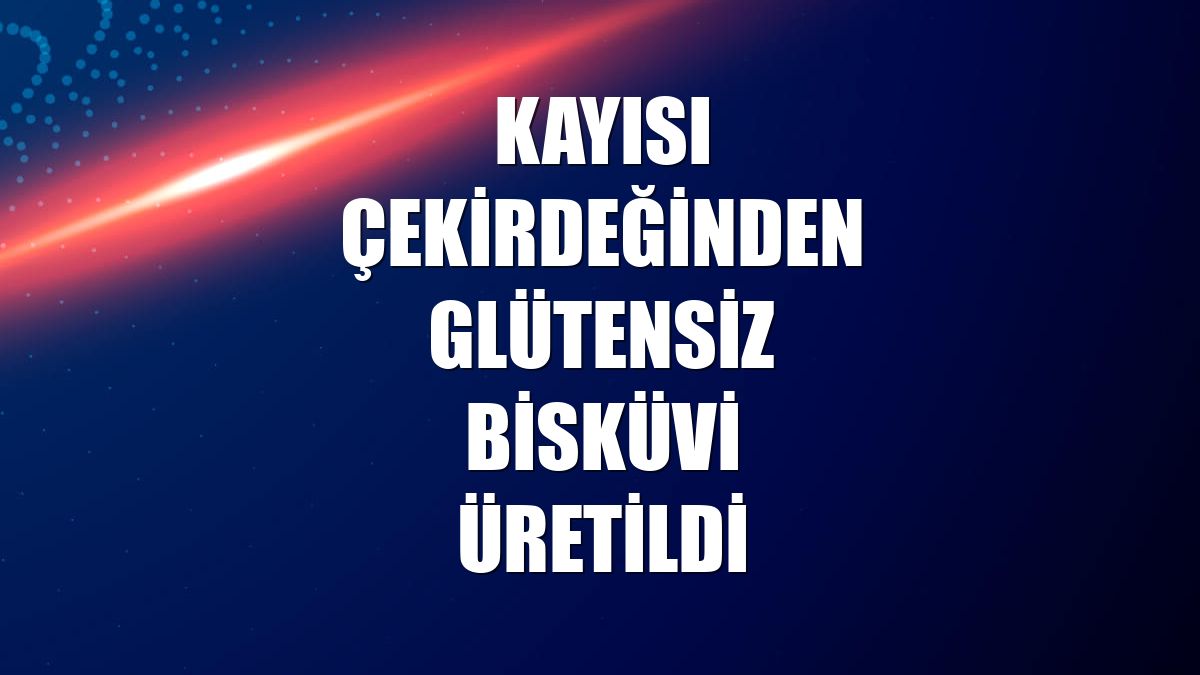 Kayısı çekirdeğinden glütensiz bisküvi üretildi