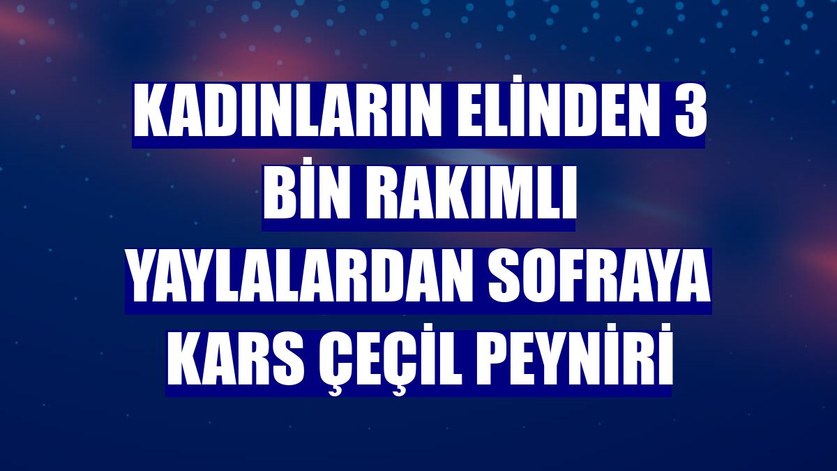 Kadınların elinden 3 bin rakımlı yaylalardan sofraya Kars çeçil peyniri