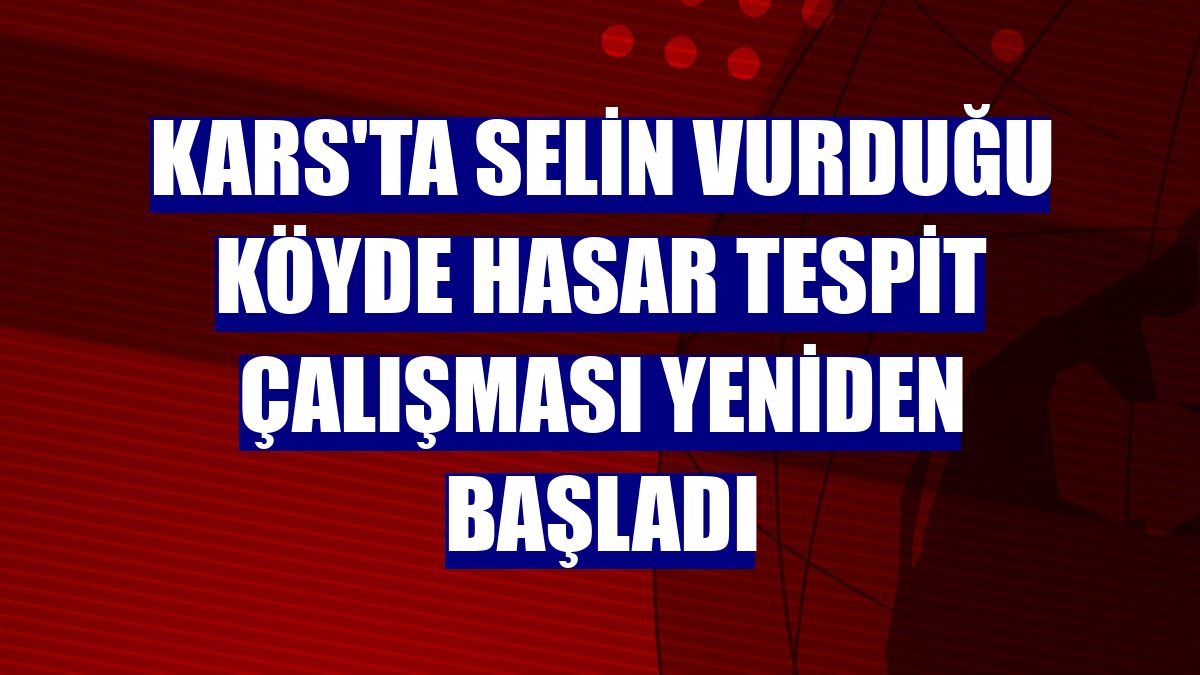 Kars'ta selin vurduğu köyde hasar tespit çalışması yeniden başladı