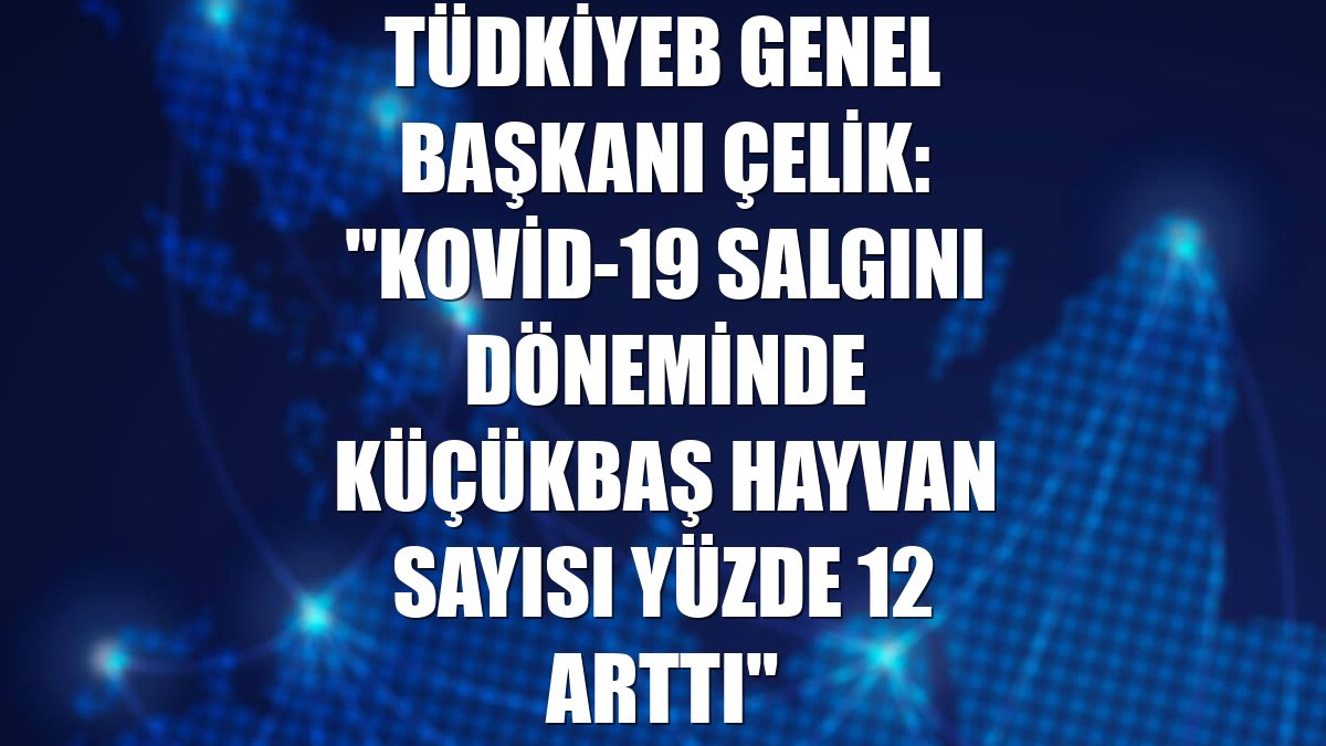 TÜDKİYEB Genel Başkanı Çelik: "Kovid-19 salgını döneminde küçükbaş hayvan sayısı yüzde 12 arttı"