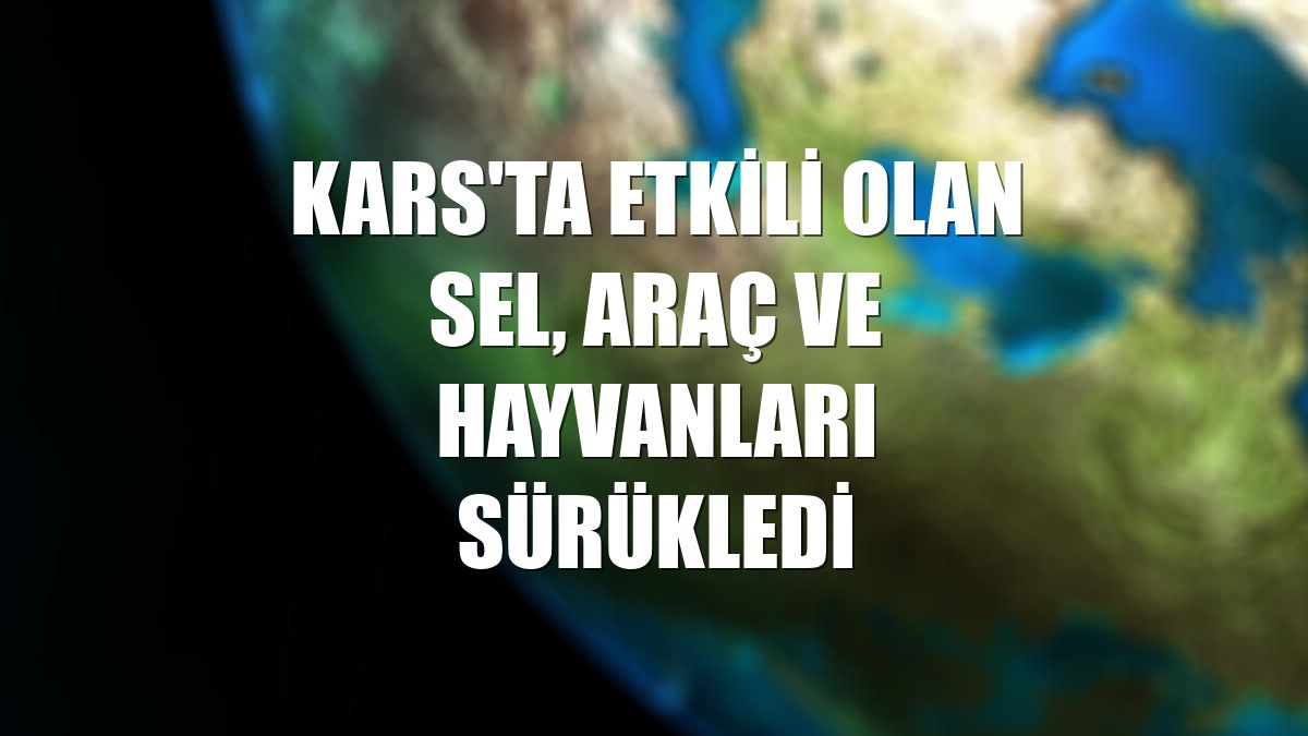 Kars'ta etkili olan sel, araç ve hayvanları sürükledi