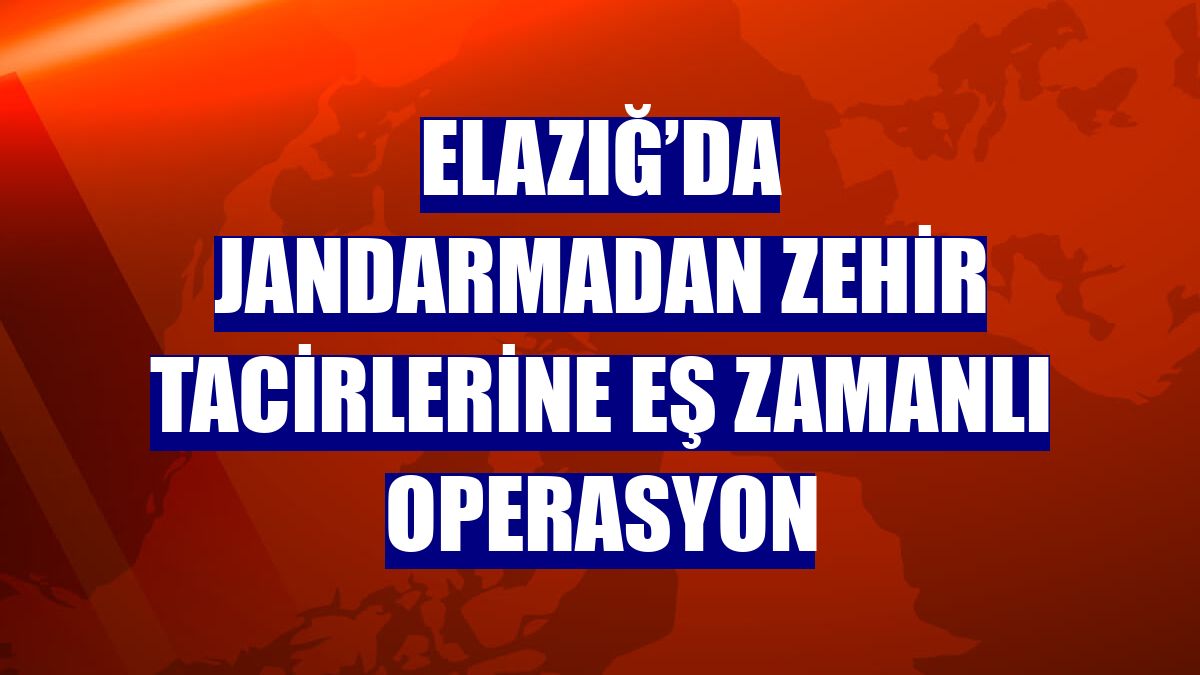 Elazığ’da jandarmadan zehir tacirlerine eş zamanlı operasyon