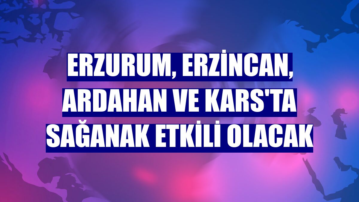 Erzurum, Erzincan, Ardahan ve Kars'ta sağanak etkili olacak