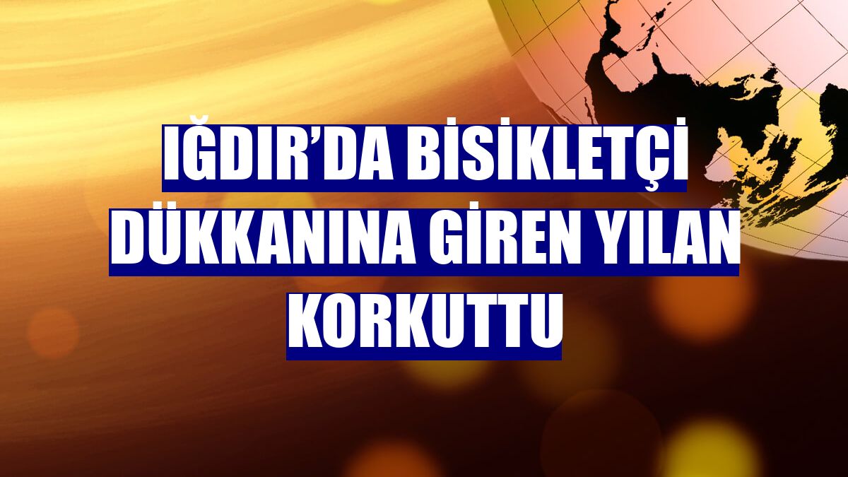 Iğdır’da bisikletçi dükkanına giren yılan korkuttu