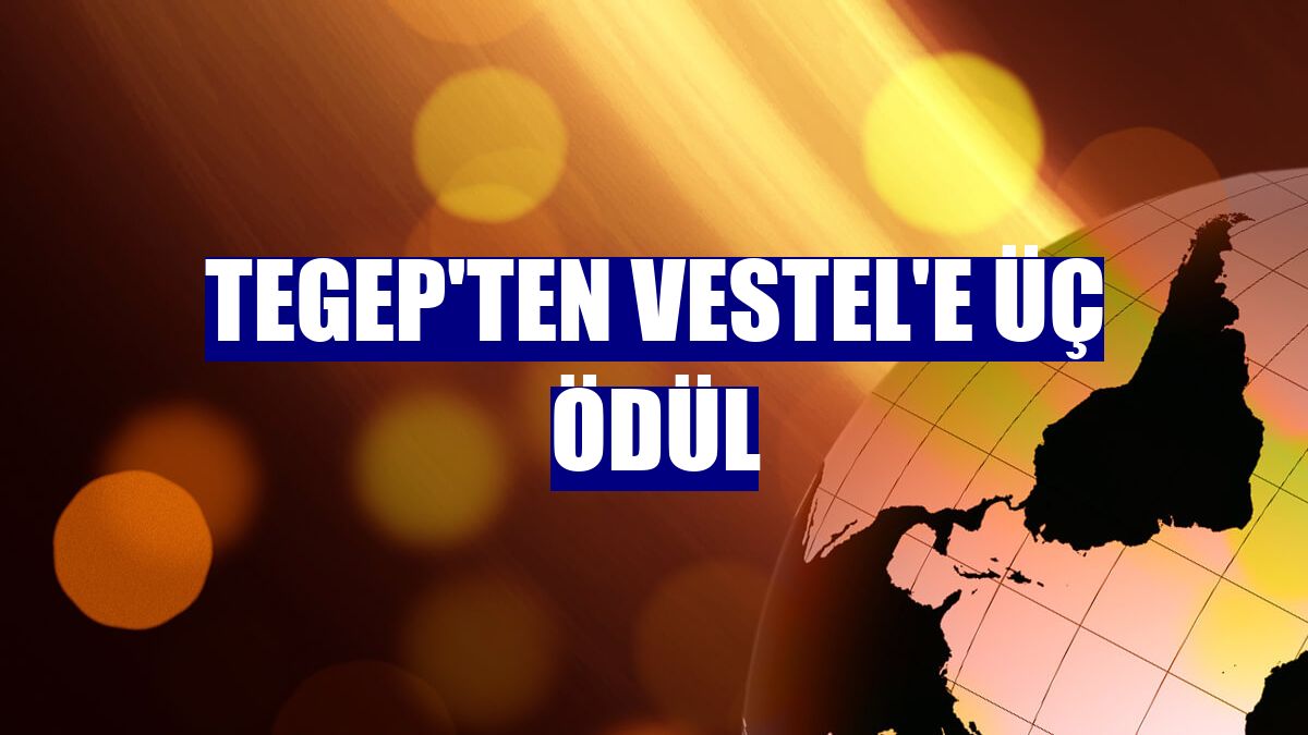 TEGEP'ten Vestel'e üç ödül