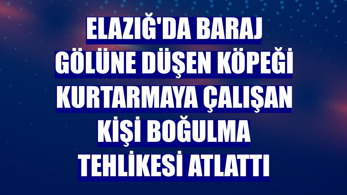 Elazığ'da baraj gölüne düşen köpeği kurtarmaya çalışan kişi boğulma tehlikesi atlattı