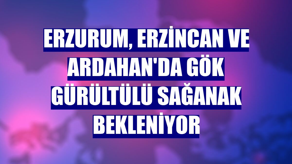 Erzurum, Erzincan ve Ardahan'da gök gürültülü sağanak bekleniyor
