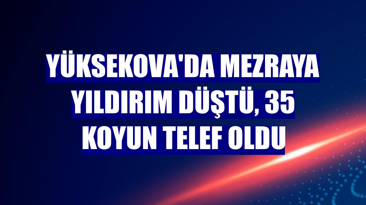 Yüksekova'da mezraya yıldırım düştü, 35 koyun telef oldu