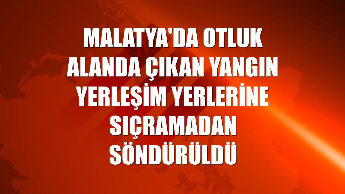 Malatya'da otluk alanda çıkan yangın yerleşim yerlerine sıçramadan söndürüldü