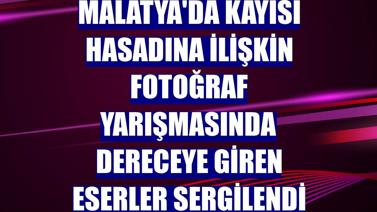 Malatya'da kayısı hasadına ilişkin fotoğraf yarışmasında dereceye giren eserler sergilendi