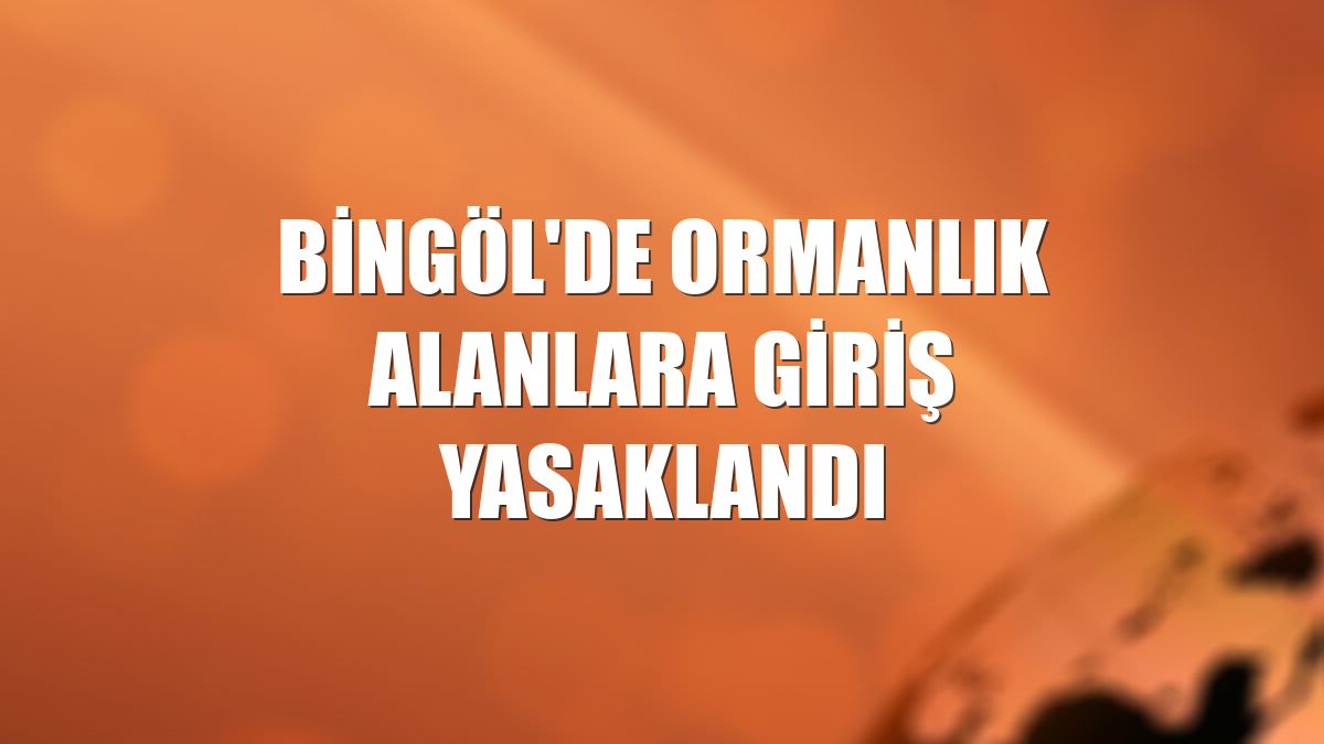 Bingöl'de ormanlık alanlara giriş yasaklandı